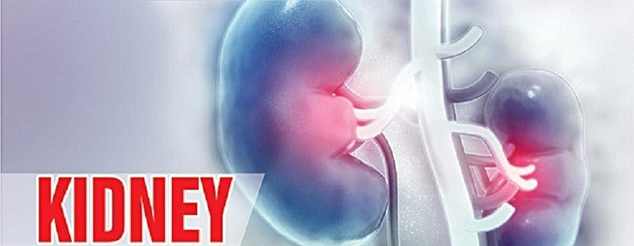 Top 5 Best Kidney Transplant Hospitals in India