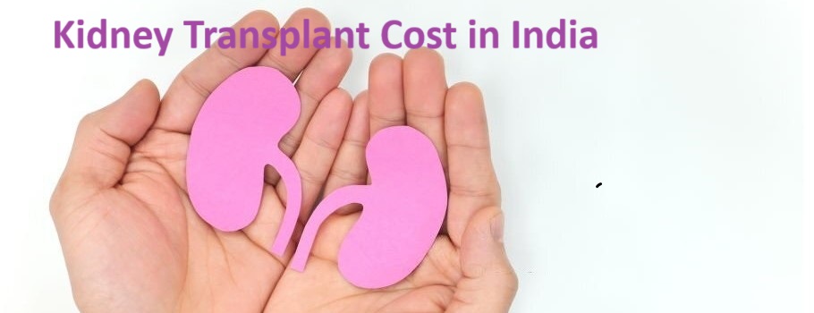 Kidney Transplant Cost in India