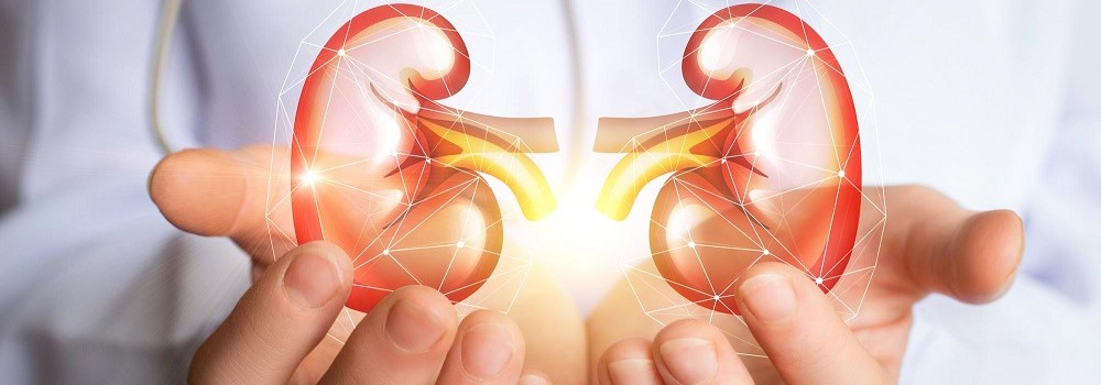 How can you keep your kidneys healthy?