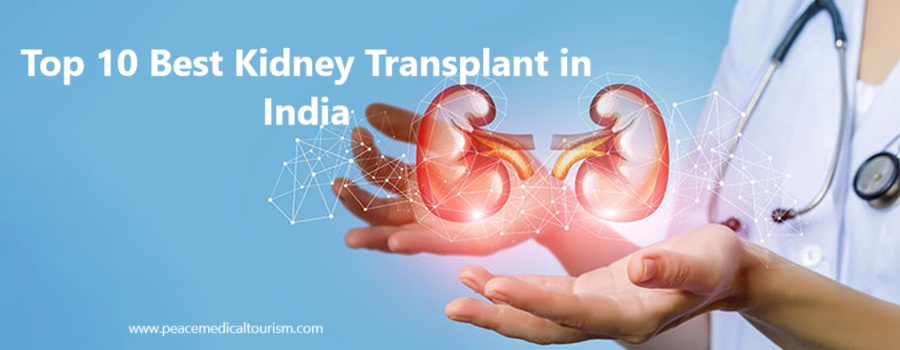 Top 10 Best Kidney Transplant Hospitals in India