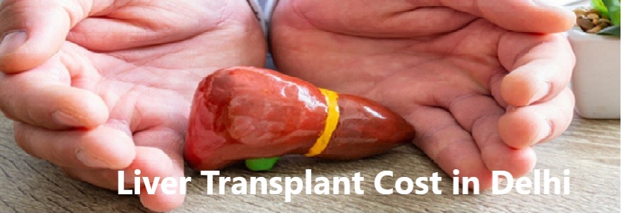 Liver Transplant Cost in Delhi