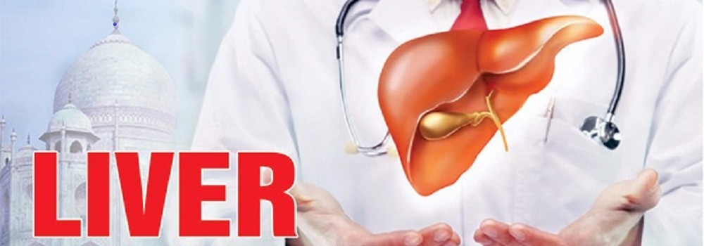 Best Liver Transplant Hospital and Surgery in India